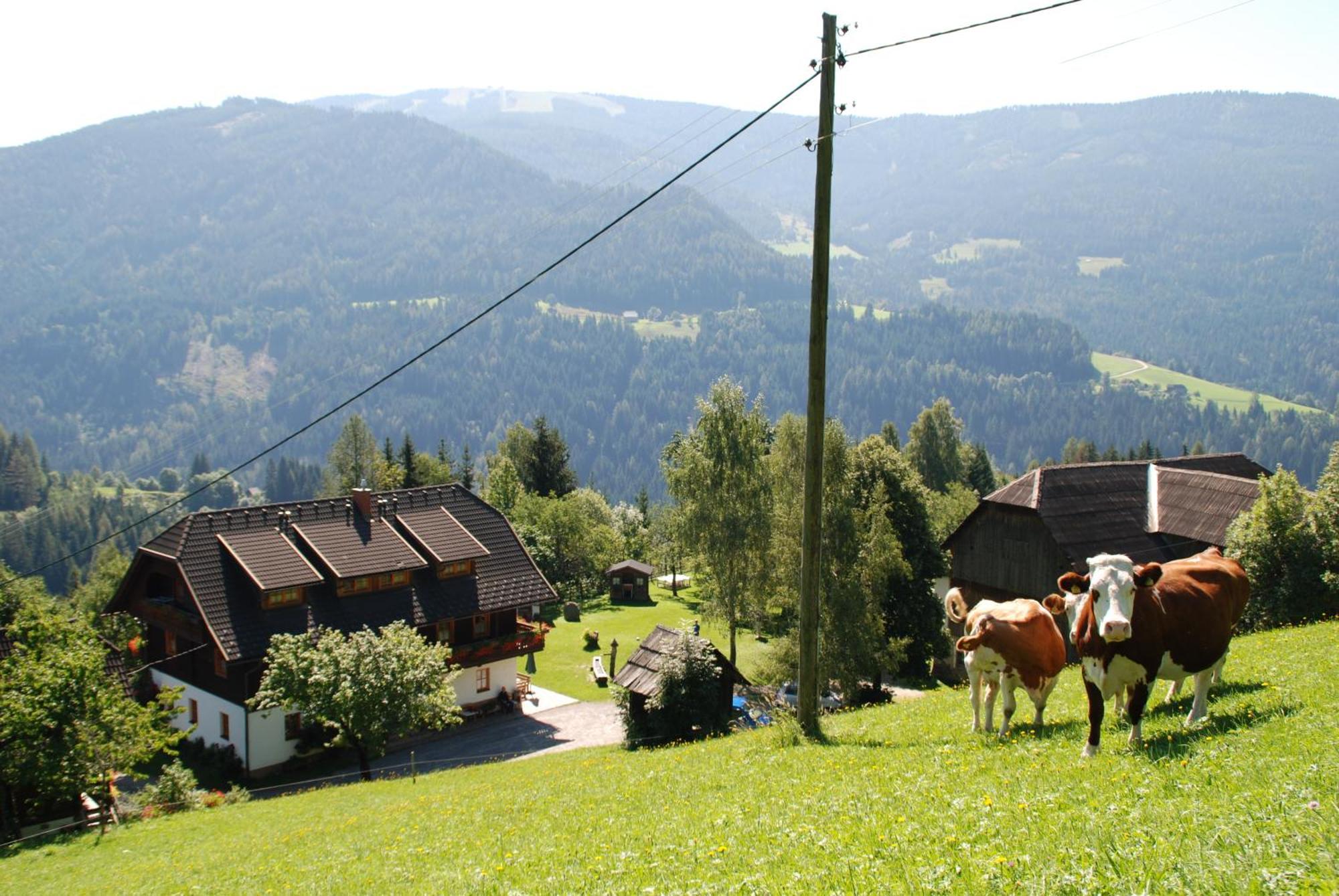 Ferienwohnung Lahnerhof Арриах Экстерьер фото