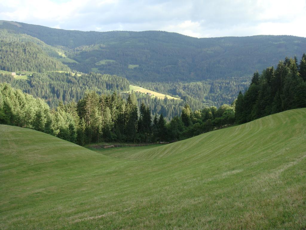 Ferienwohnung Lahnerhof Арриах Экстерьер фото