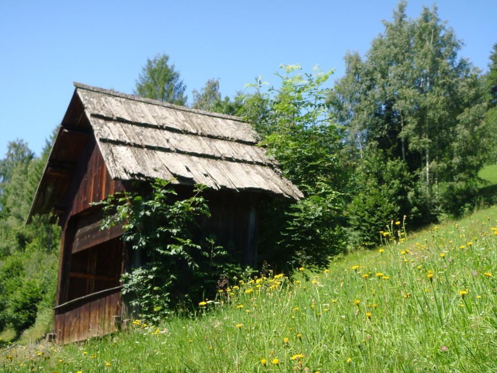 Ferienwohnung Lahnerhof Арриах Экстерьер фото